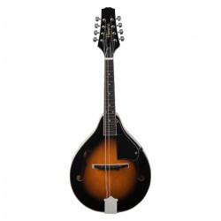  Mandolin MDE - 250